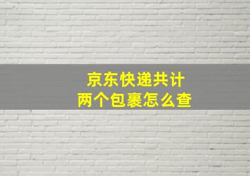 京东快递共计两个包裹怎么查