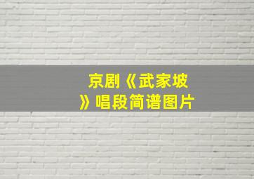 京剧《武家坡》唱段简谱图片