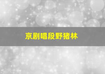 京剧唱段野猪林