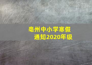 亳州中小学寒假通知2020年级