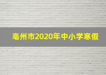 亳州市2020年中小学寒假