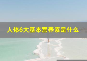 人体6大基本营养素是什么