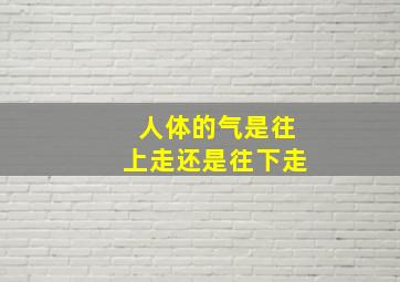 人体的气是往上走还是往下走