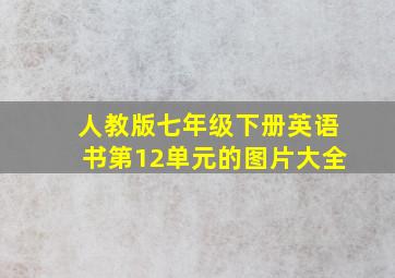 人教版七年级下册英语书第12单元的图片大全