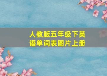 人教版五年级下英语单词表图片上册