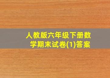 人教版六年级下册数学期末试卷(1)答案