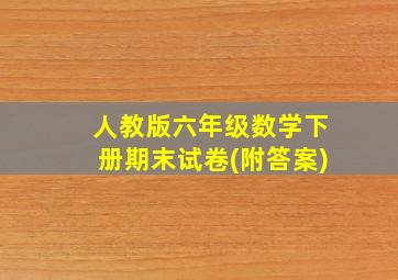 人教版六年级数学下册期末试卷(附答案)