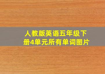 人教版英语五年级下册4单元所有单词图片