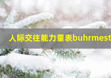 人际交往能力量表buhrmester