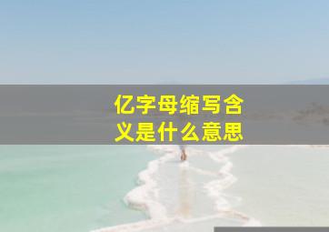 亿字母缩写含义是什么意思