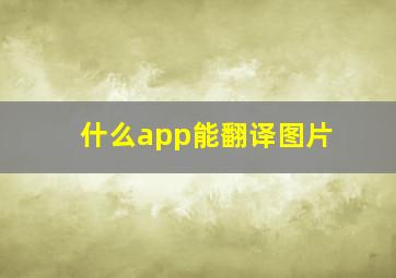 什么app能翻译图片