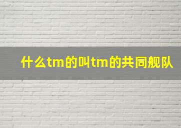 什么tm的叫tm的共同舰队