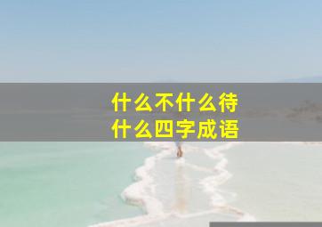 什么不什么待什么四字成语