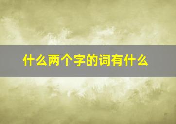 什么两个字的词有什么