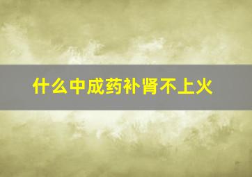 什么中成药补肾不上火