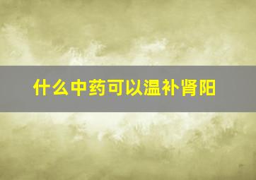 什么中药可以温补肾阳