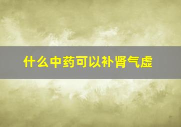 什么中药可以补肾气虚