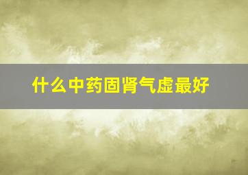 什么中药固肾气虚最好