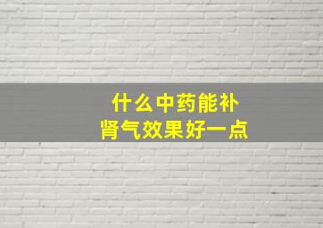 什么中药能补肾气效果好一点