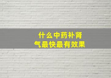 什么中药补肾气最快最有效果