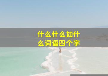 什么什么如什么词语四个字