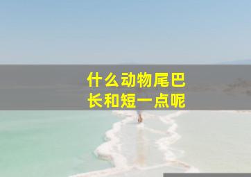 什么动物尾巴长和短一点呢