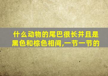 什么动物的尾巴很长并且是黑色和棕色相间,一节一节的