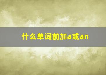 什么单词前加a或an