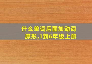 什么单词后面加动词原形,1到6年级上册