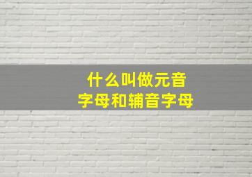 什么叫做元音字母和辅音字母