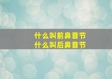 什么叫前鼻音节什么叫后鼻音节