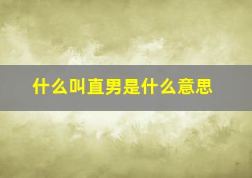 什么叫直男是什么意思