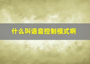 什么叫语音控制模式啊