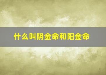 什么叫阴金命和阳金命