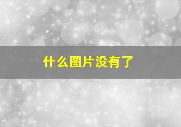 什么图片没有了