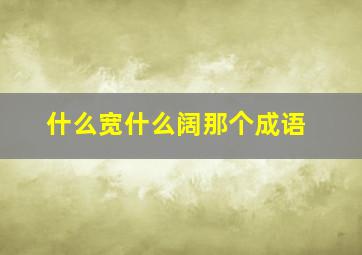 什么宽什么阔那个成语