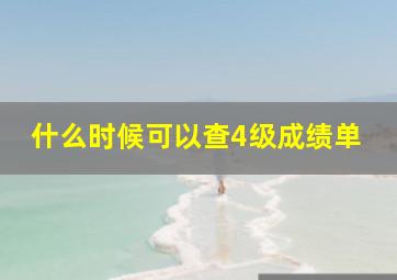 什么时候可以查4级成绩单