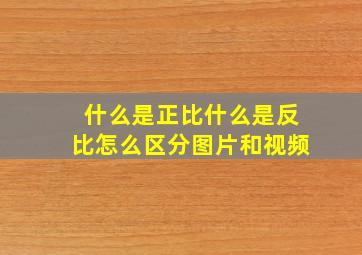 什么是正比什么是反比怎么区分图片和视频