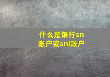 什么是银行sn账户或sni账户