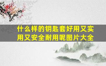 什么样的钥匙套好用又实用又安全耐用呢图片大全