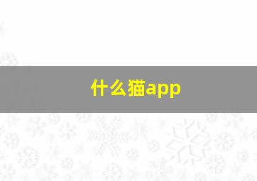 什么猫app