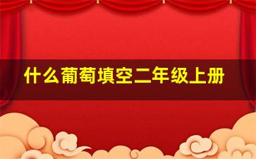 什么葡萄填空二年级上册