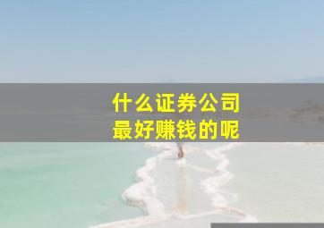 什么证券公司最好赚钱的呢