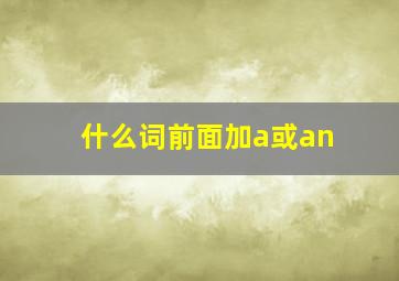 什么词前面加a或an