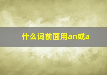 什么词前面用an或a