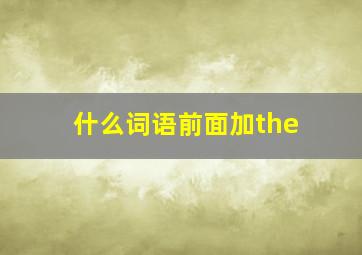 什么词语前面加the