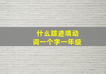 什么踪迹填动词一个字一年级