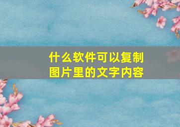 什么软件可以复制图片里的文字内容