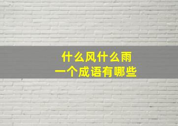 什么风什么雨一个成语有哪些