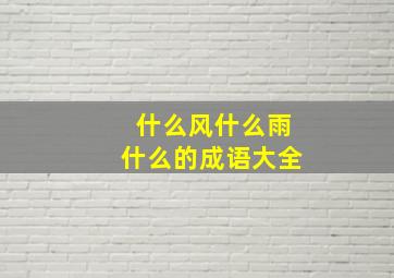 什么风什么雨什么的成语大全